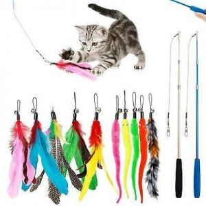 my shop ציוד לחתולים لعبة JIARON Cat Feather ، قطعتان من ألعاب عصا القطة القابلة للسحب واستبدال 10 قطع